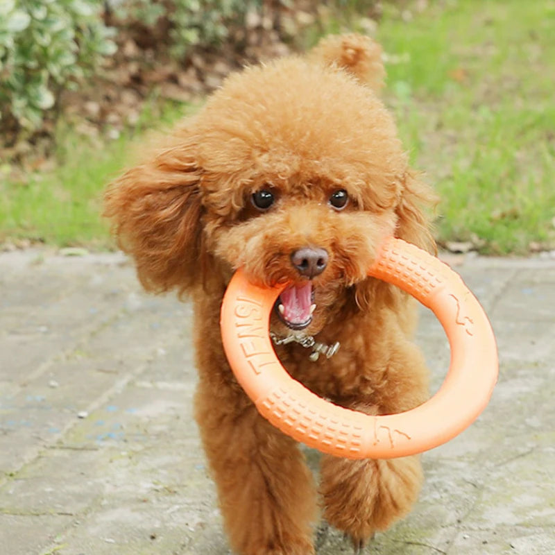 BiteFun™  Flying Disk Chewing Toy