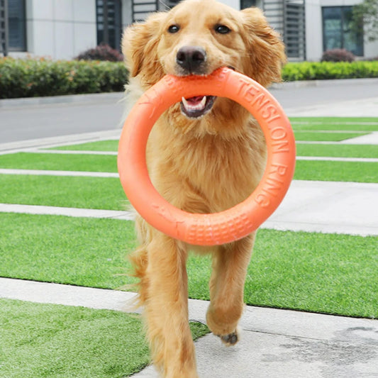 BiteFun™  Flying Disk Chewing Toy