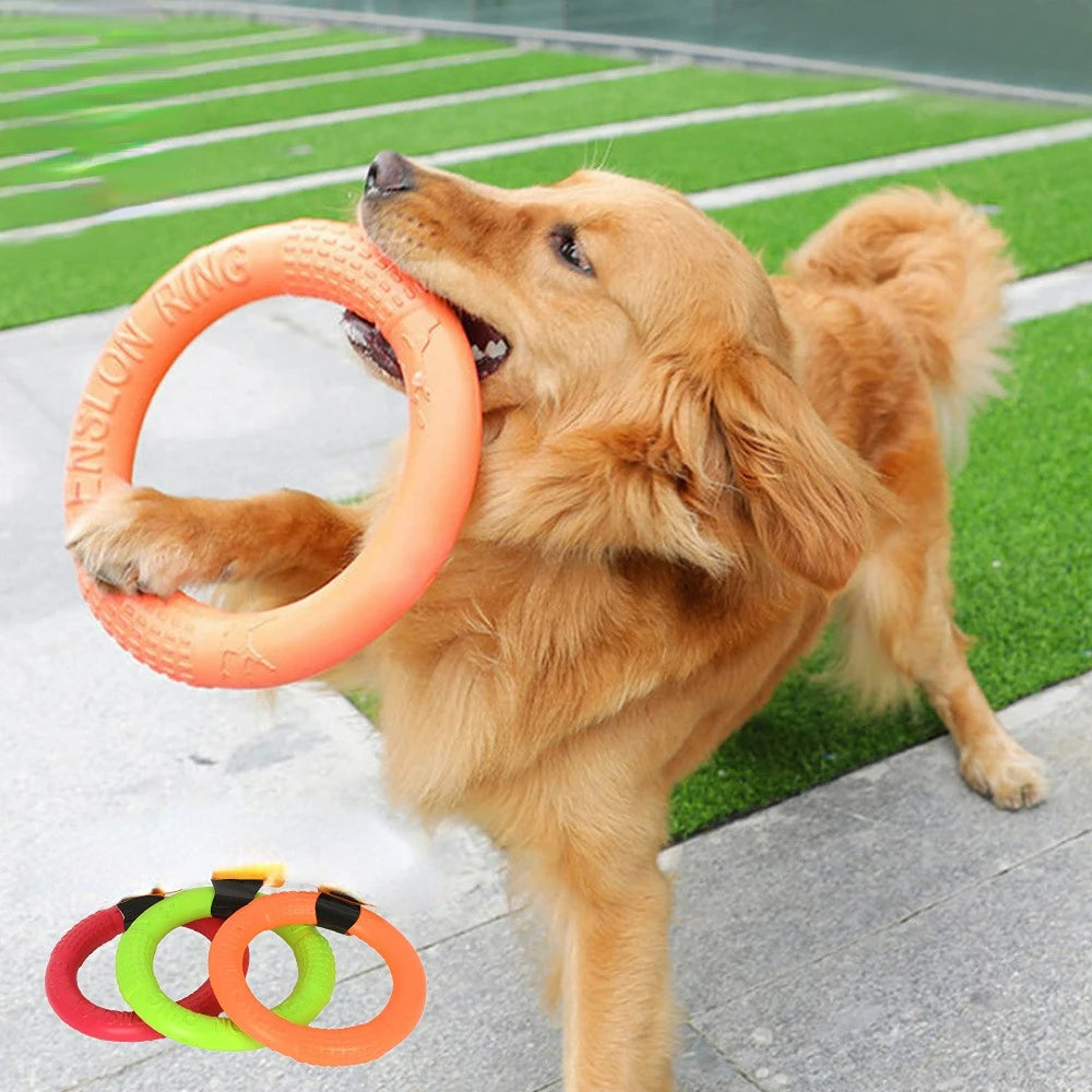 BiteFun™  Flying Disk Chewing Toy