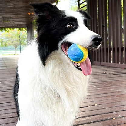 Plaff™  Soft TPR Ball for Dogs