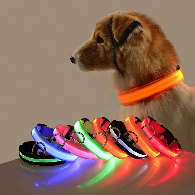 SafeLight™  LED Night Safety Flashing Leash