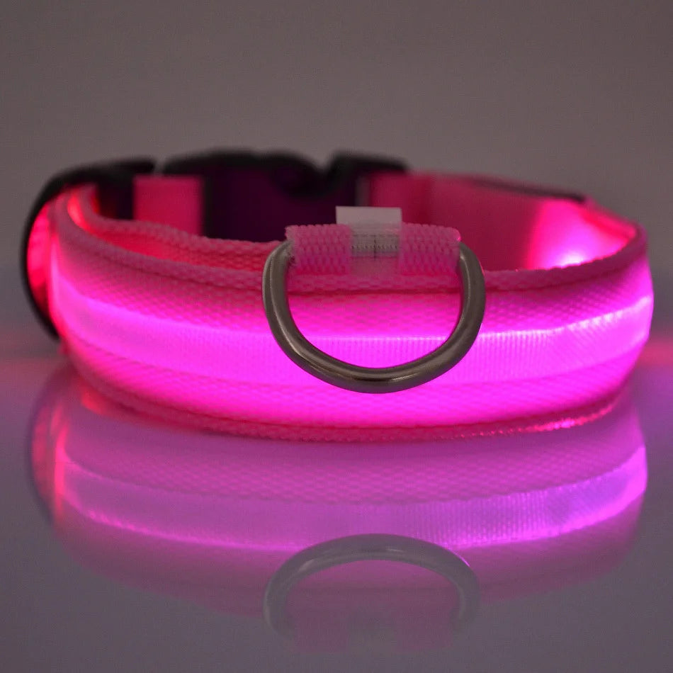 SafeLight™  LED Night Safety Flashing Leash