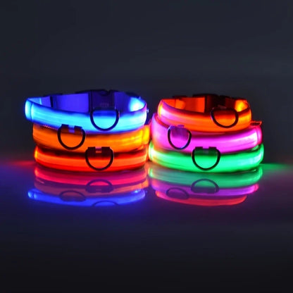 SafeLight™  LED Night Safety Flashing Leash