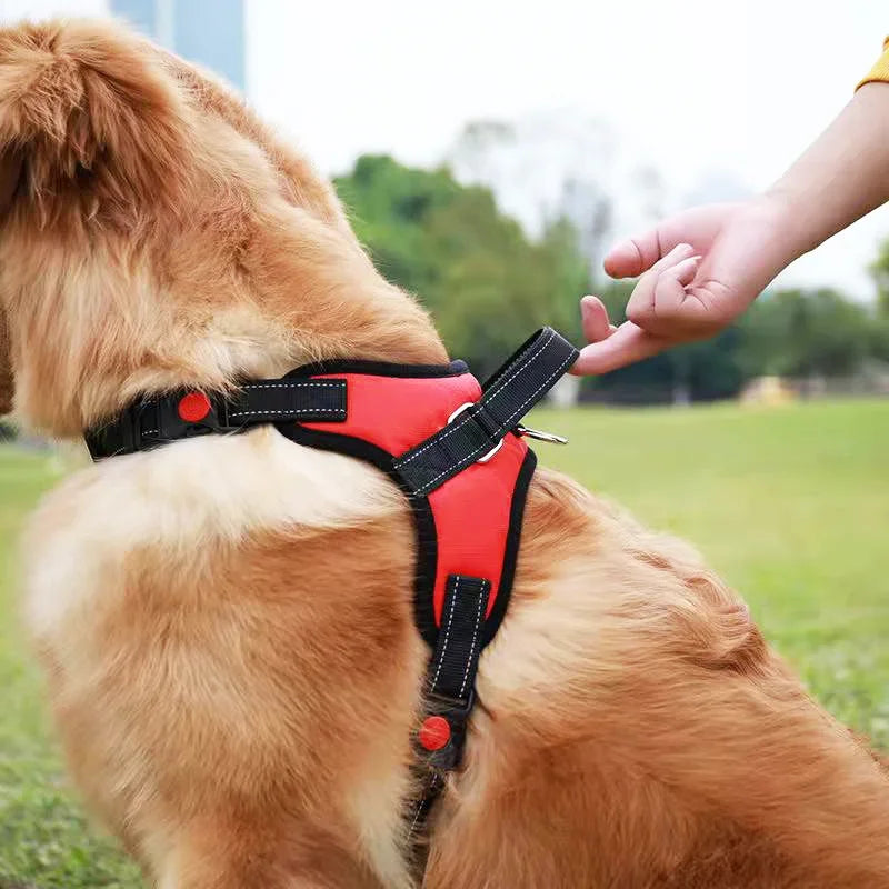 JetJumbs™  Safety Harness Vest for Dogs