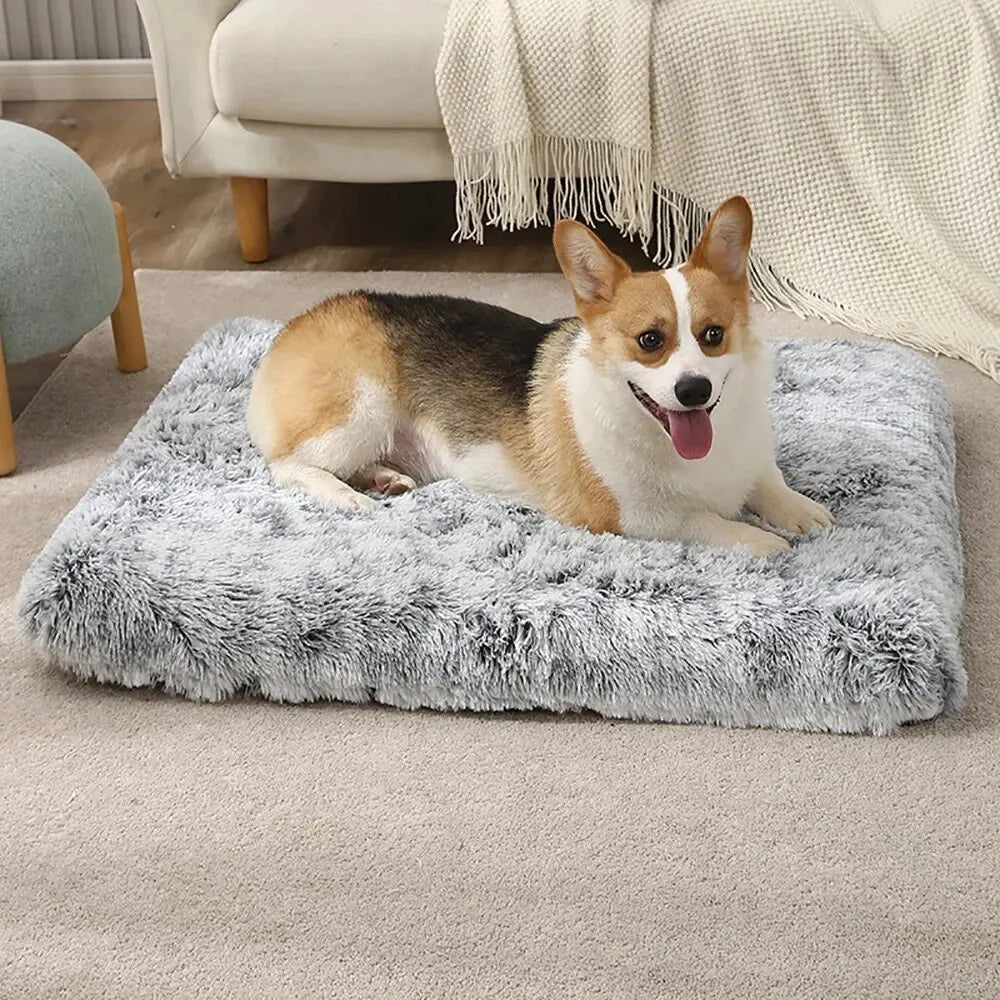 SleepyEars™  Long Plush Dog Bed