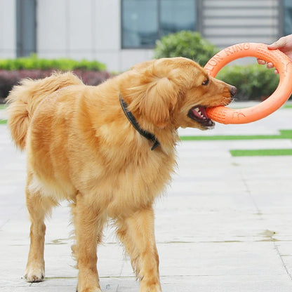 BiteFun™  Flying Disk Chewing Toy