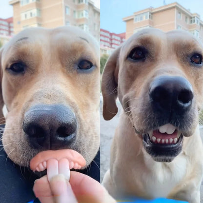 Joker™  Funny Teeth For Dogs Toys