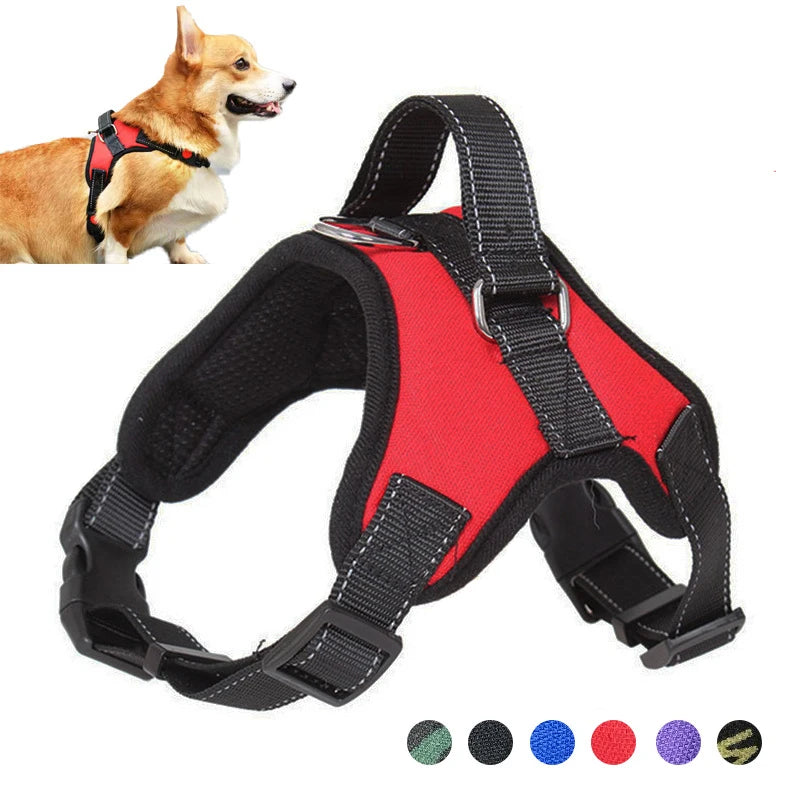 JetJumbs™  Safety Harness Vest for Dogs